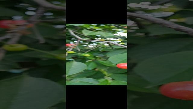 1000032430.mp4 смотреть онлайн