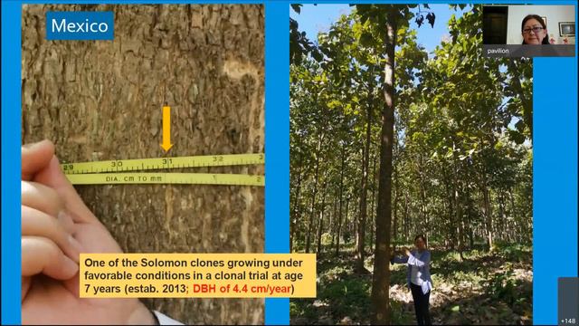 Webinar on Advancements in Teak cultivation : Genetic Resources and Technologies | PART 3 смотреть онлайн