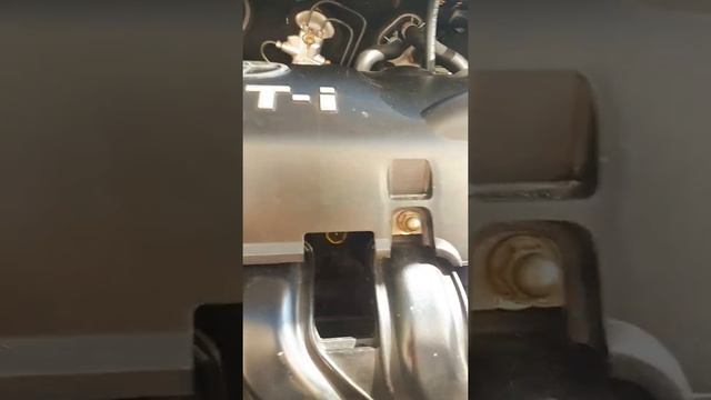 Где номер двигателя и кузова на toyota vitz смотреть онлайн