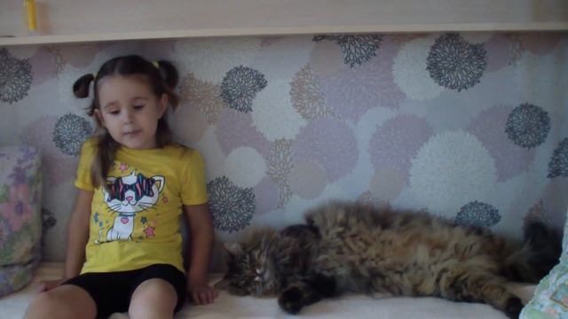Пошел котик на торжок... смотреть онлайн