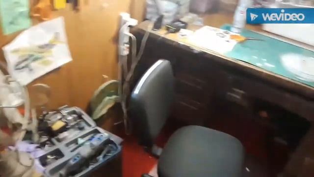 papilio decals смотреть онлайн