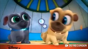 Дружные.  Мопсы