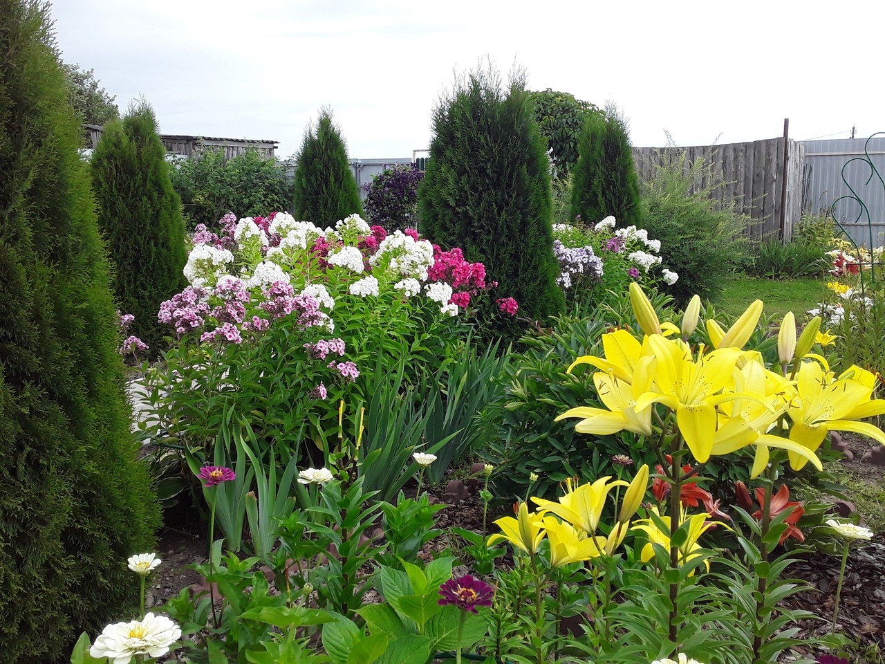 Сад непрерывного цветения! смотреть онлайн