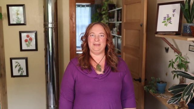 Wildcrafting Edible Violets (Viola odorata) with Violet Syrup Recipe смотреть онлайн