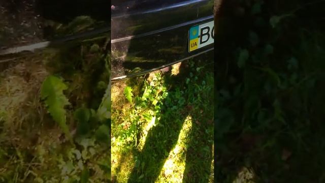 Y22DTH перший пуск після кап ремонту. смотреть онлайн