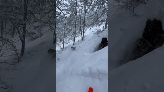 Падения во фрирайде! Дропы и прыжки. Красная поляна 2023 смотреть онлайн