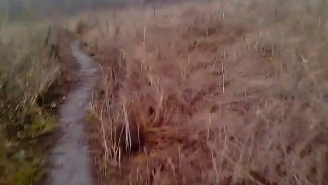 Бездорожье д Заречной Орл р-н!!! г Орла смотреть онлайн