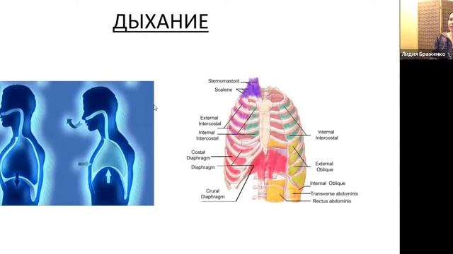 Лидия Браженко "Соматический пилатес" смотреть онлайн