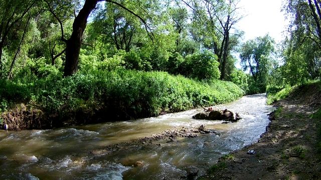 На озере смотреть онлайн