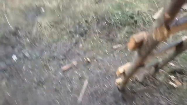 Посадил севок 550 кг под зиму на раннюю зелень весной. Выгонка пера лука на продажу смотреть онлайн