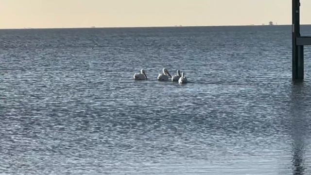 Taylor Park: Best Things about Boondocking for 5 Years! смотреть онлайн