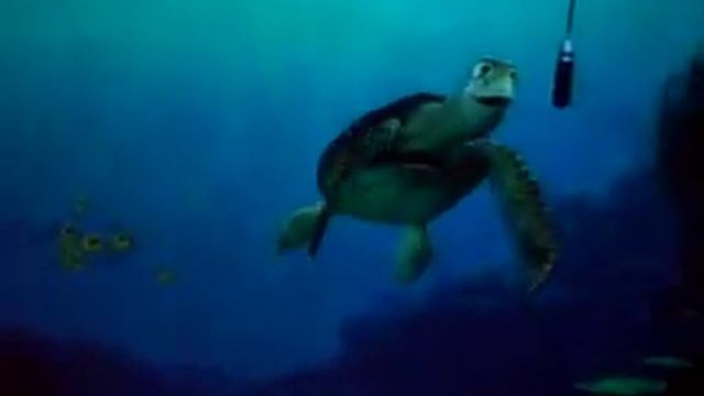 Happy Birthday Turtle смотреть онлайн