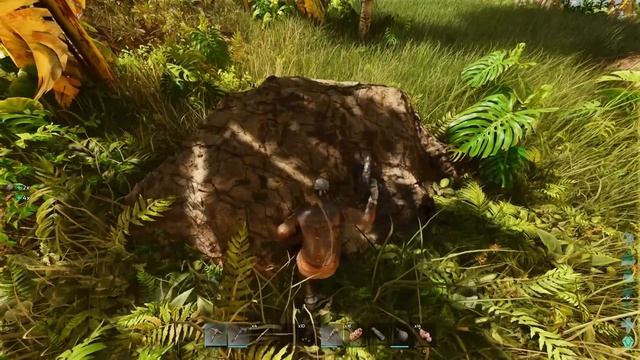 I Saved a Baby Compy and Raised it as my Own! - ARK Survival Ascended [E3] смотреть онлайн