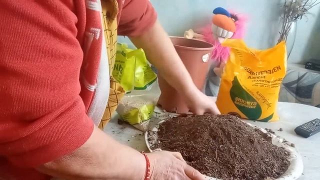 подготовка посева альпийцев смотреть онлайн