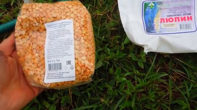 Удаляем сорняки и дерн с помощью семян ОВСА и нанотехнологии смотреть онлайн