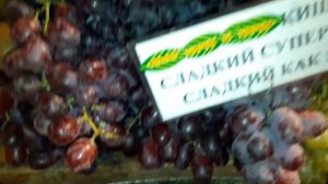 Виноград Кишмиш розовый