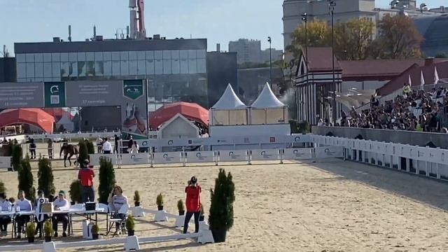 17.09.2023г. XIX Чемпионат по шоу арабских лошадей кобыла Валь Гардена 2020г SS GRISHA-Венария Терс смотреть онлайн