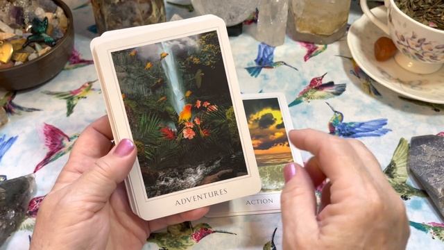 Sacred Destiny Oracle Cards by Denise Linn Deck Flip Through #oraclecarddeck #deniselinn смотреть онлайн