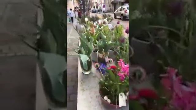 Цветочный магазин Мастера смотреть онлайн