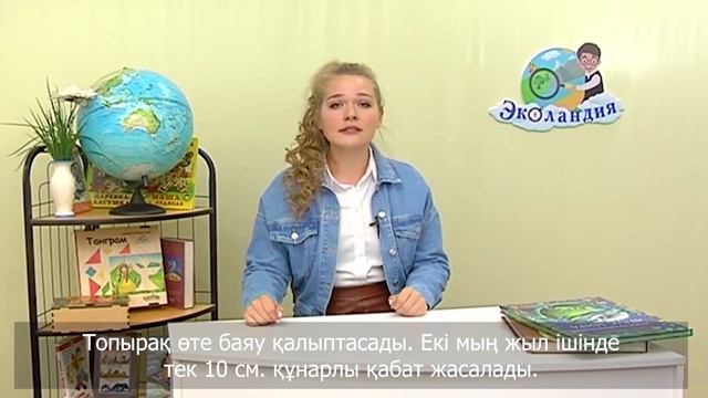 Валеошка в стране Эколандии. Третья серия. Почва в опасности! смотреть онлайн