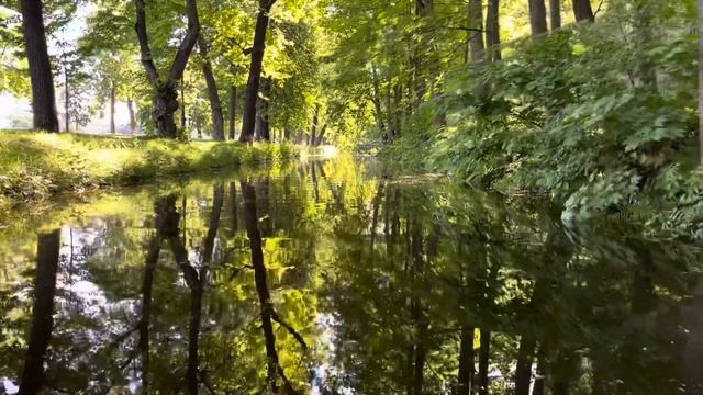 На байдарке по центру Питера смотреть онлайн