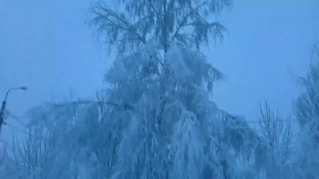 Донецк погода сегодня 06.02.2020 утро деревья на машинах смотреть онлайн