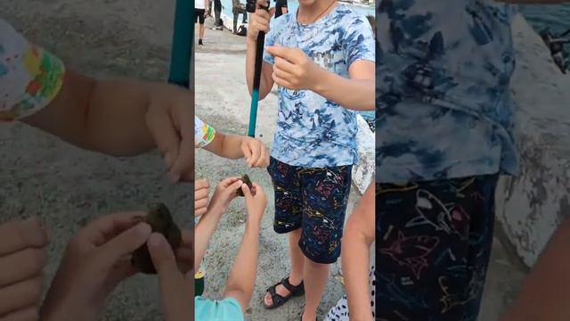 рыбалка в торнадо в Ново Михайловском смотреть онлайн