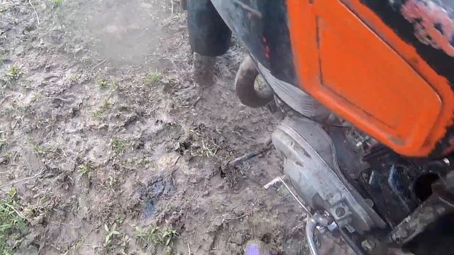 Планета рвет тапок смотреть онлайн