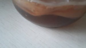 Проблемы с чайным грибом?!Как устронить их.