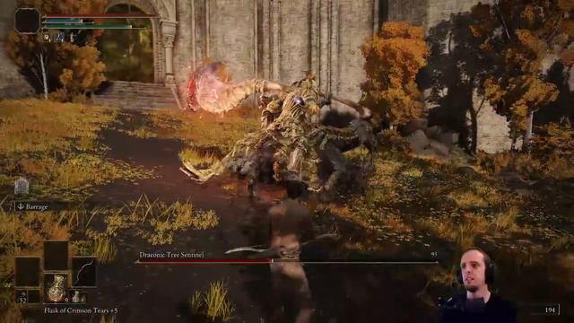 Draconic Tree Sentinel - Bow Only смотреть онлайн