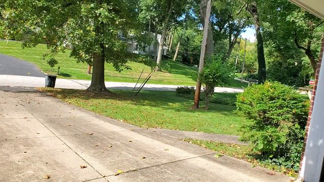 URETHANE ON ERGO BUTTON David Kettlewell chromatic harmonica смотреть онлайн