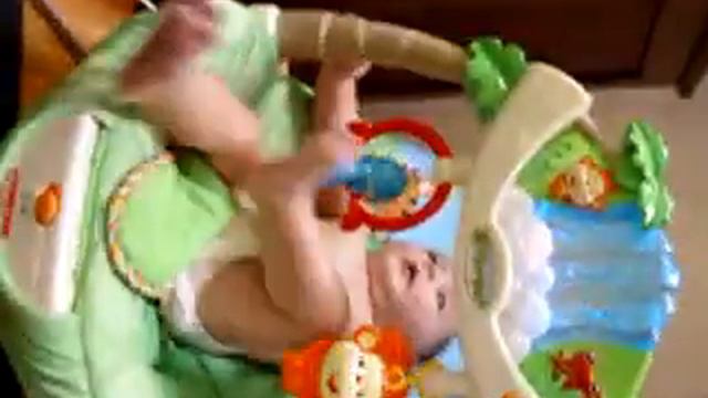 Quin & Rainforest Bouncer смотреть онлайн