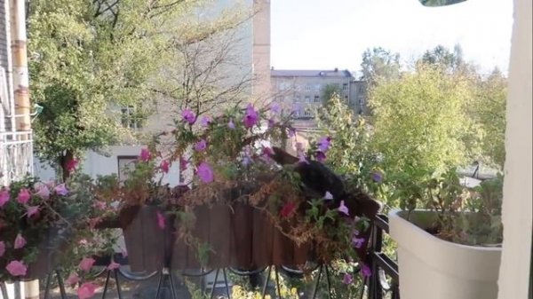 VLOG: Родственные связи // 06.10.2018