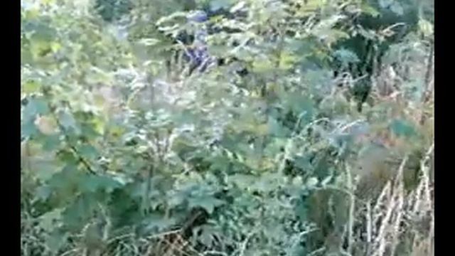 Match Laser Challenge смотреть онлайн