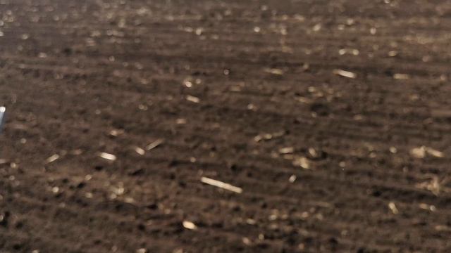 перша культівація під семочку Саксон мтз80 з кпс4.2 смотреть онлайн