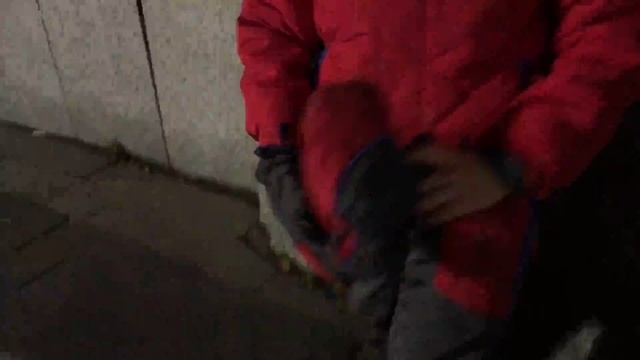 Vlog! Мой друг Петя - Глупости на фонтанах. Дурачимся Тимур Rex2 Будинок Iграшок смотреть онлайн