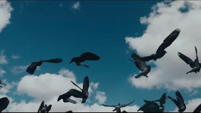 М. Цветаева "В Париже". Читает Александр Зубов (Новосибирский государственный театральный институт смотреть онлайн