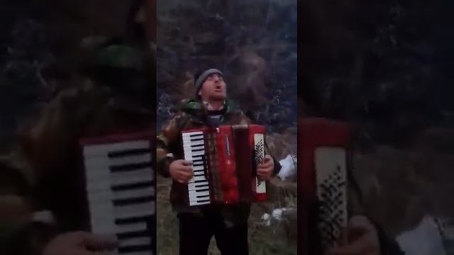 Даргинцы отдыхают смотреть онлайн