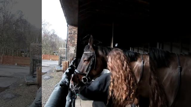 grooming and taking up my horse смотреть онлайн