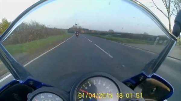 FZS1000 Fazer & Tiger 955i