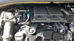 In-Depth View at the  2021 Peugeot 301 1.6 L 4 Cylinder Diesel