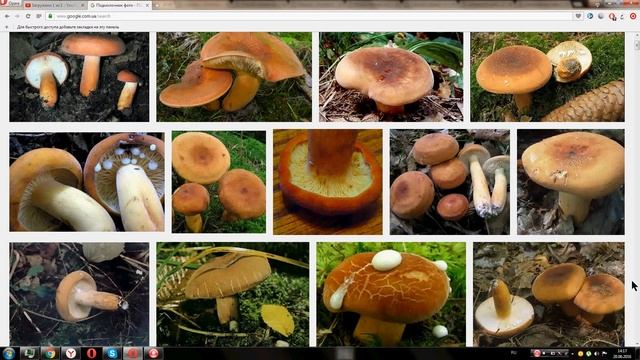 Готовим весело и со вкусом 