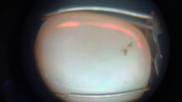 Опал (Эфиопия) в микроскопе. смотреть онлайн