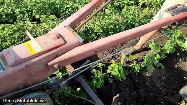 Окучники своїми руками в роботі Підгортання картошки смотреть онлайн