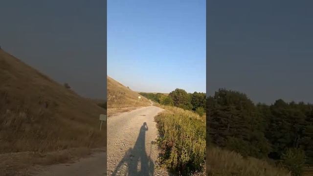 По полям,по прудам! смотреть онлайн