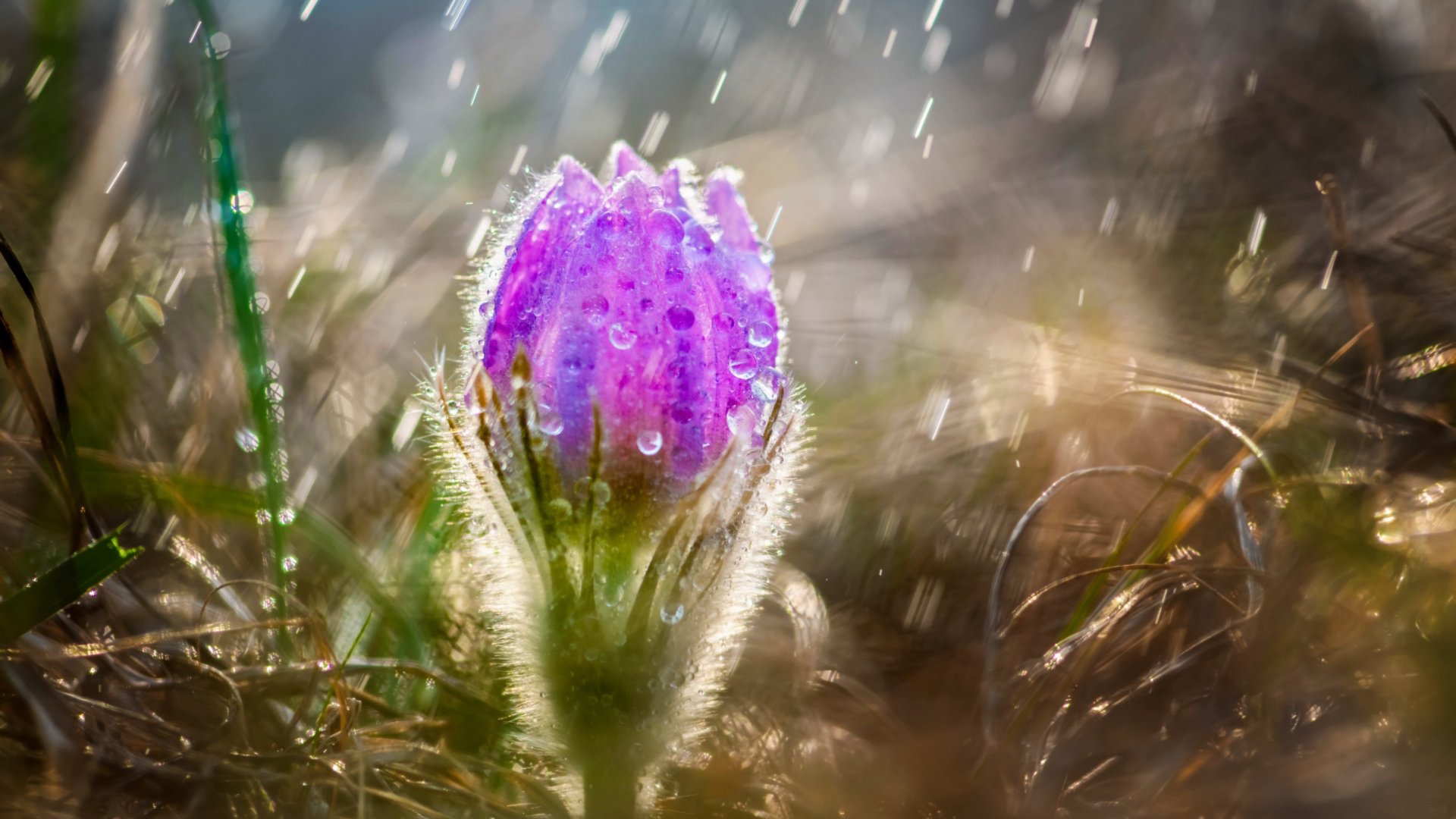 Звуки дождя и успокаивающая музыка для снятия стресса, расслабления и глубокого сна смотреть онлайн