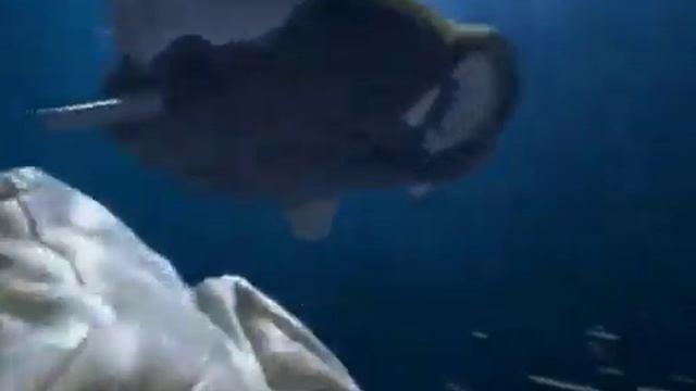 Ariston Aqualtis Commercial