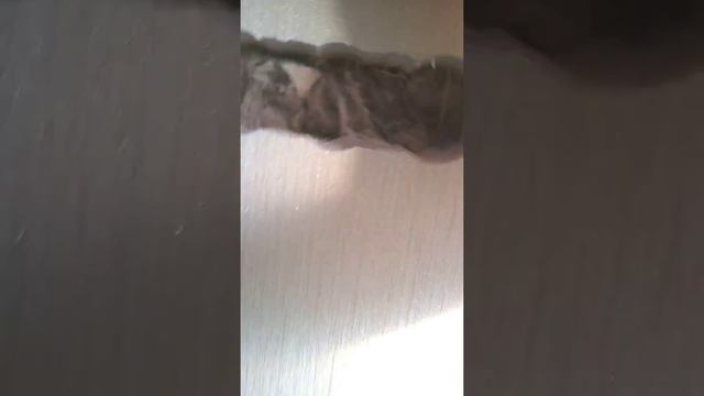 акустический картон смотреть онлайн