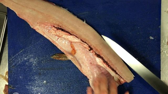 Разделка щуки смотреть онлайн