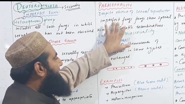 Biology Ch#08-Lecture#10 Deuteromycota (F.Sc 1st Year) смотреть онлайн
